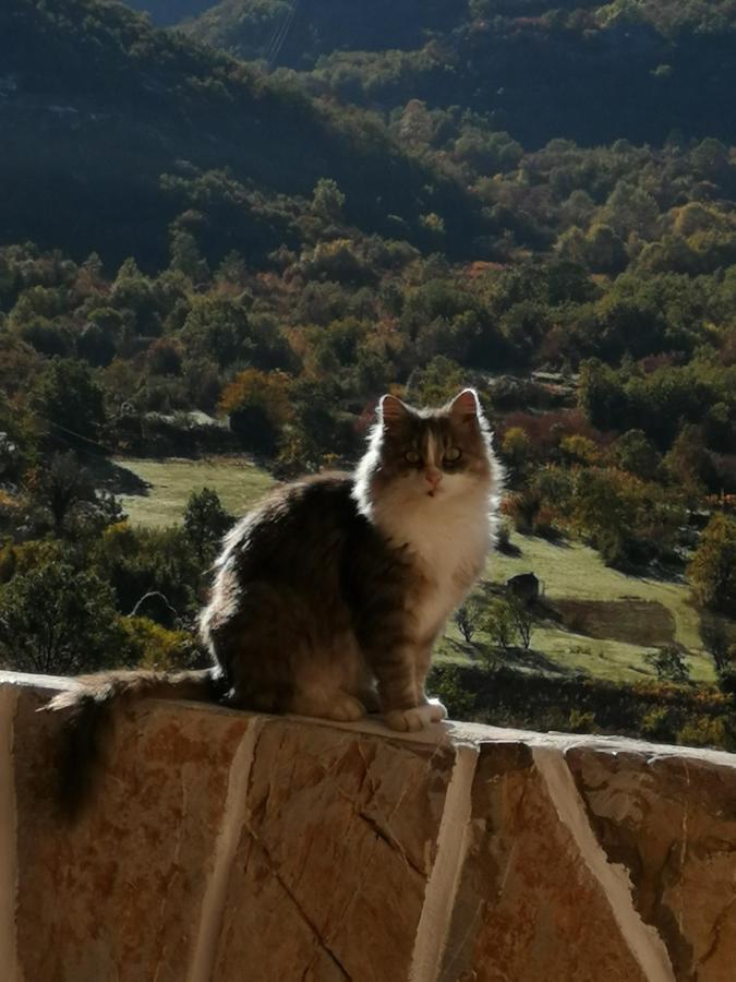 Etno House Happy Village Cetinje Luaran gambar